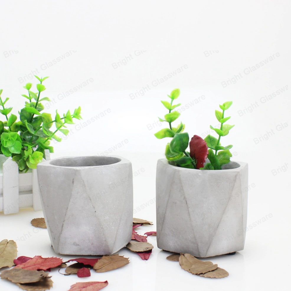Nordic Style Cement Concrete Succulent Cactus Planter Flower Pot