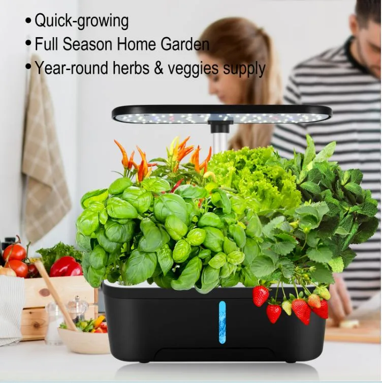 Hydroponic Plants Plant a Food-Grade ABS Planter for Growing Lettuce and Salad