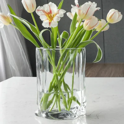ガラス不規則な装飾花瓶花植物容器 Ci22603
